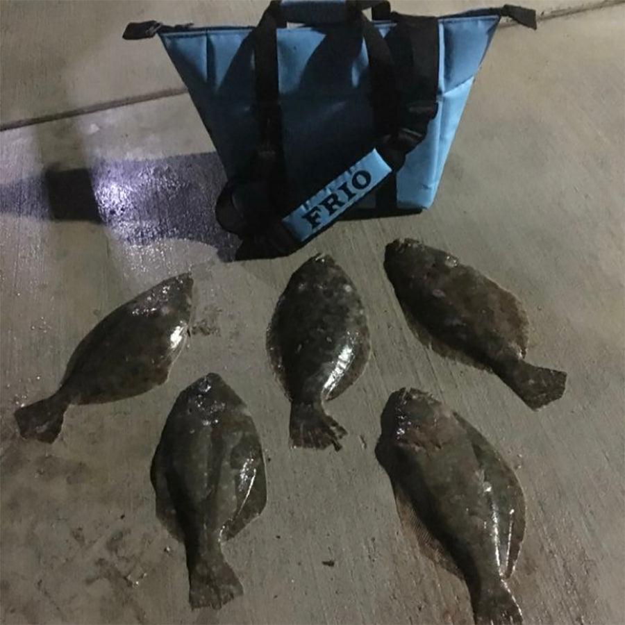Finding Flounder in May & June